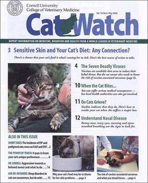 CatWatch